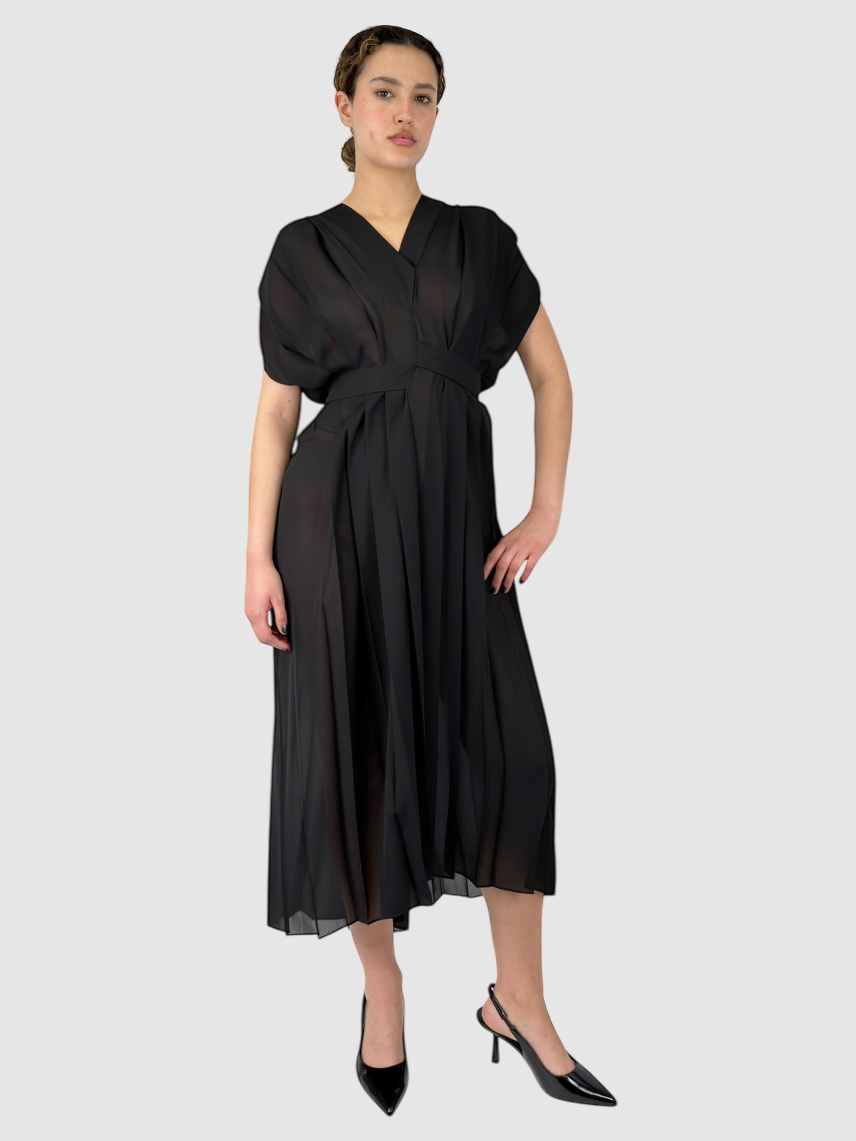 Sheer Pleated Dress
