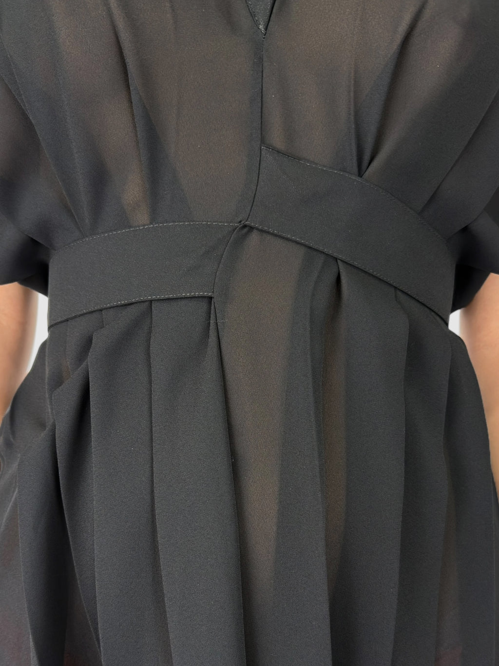 Sheer Pleated Dress