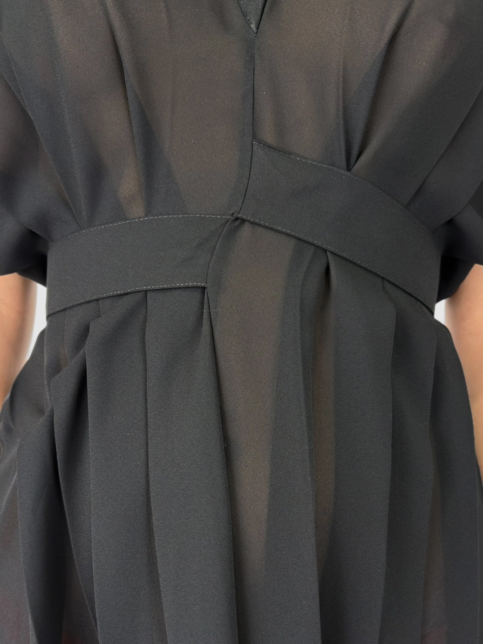 Sheer Pleated Dress