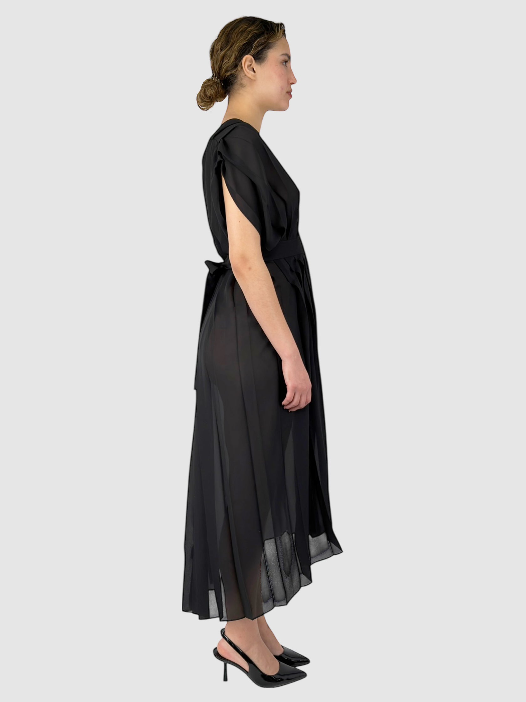 Sheer Pleated Dress