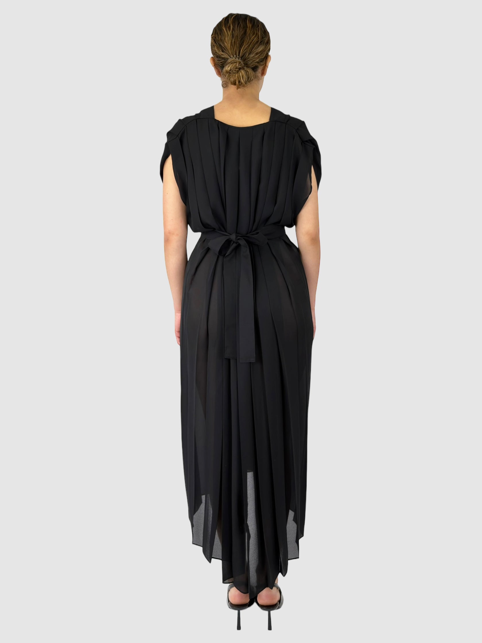 Sheer Pleated Dress