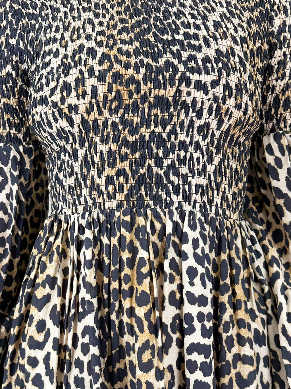 Leopard Mini Dress