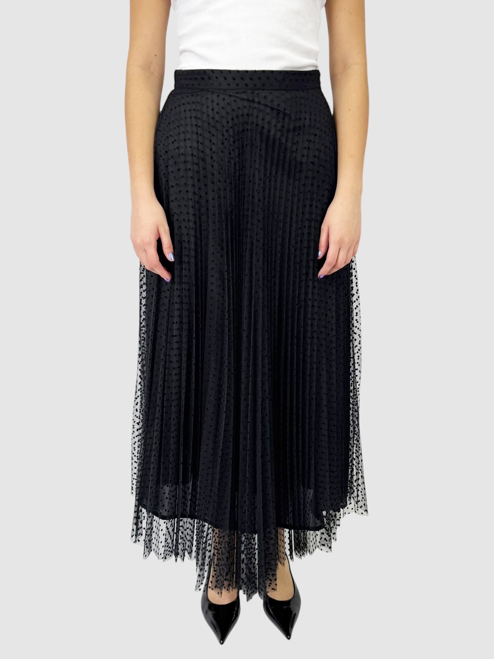 Mesh Pleated Skirt