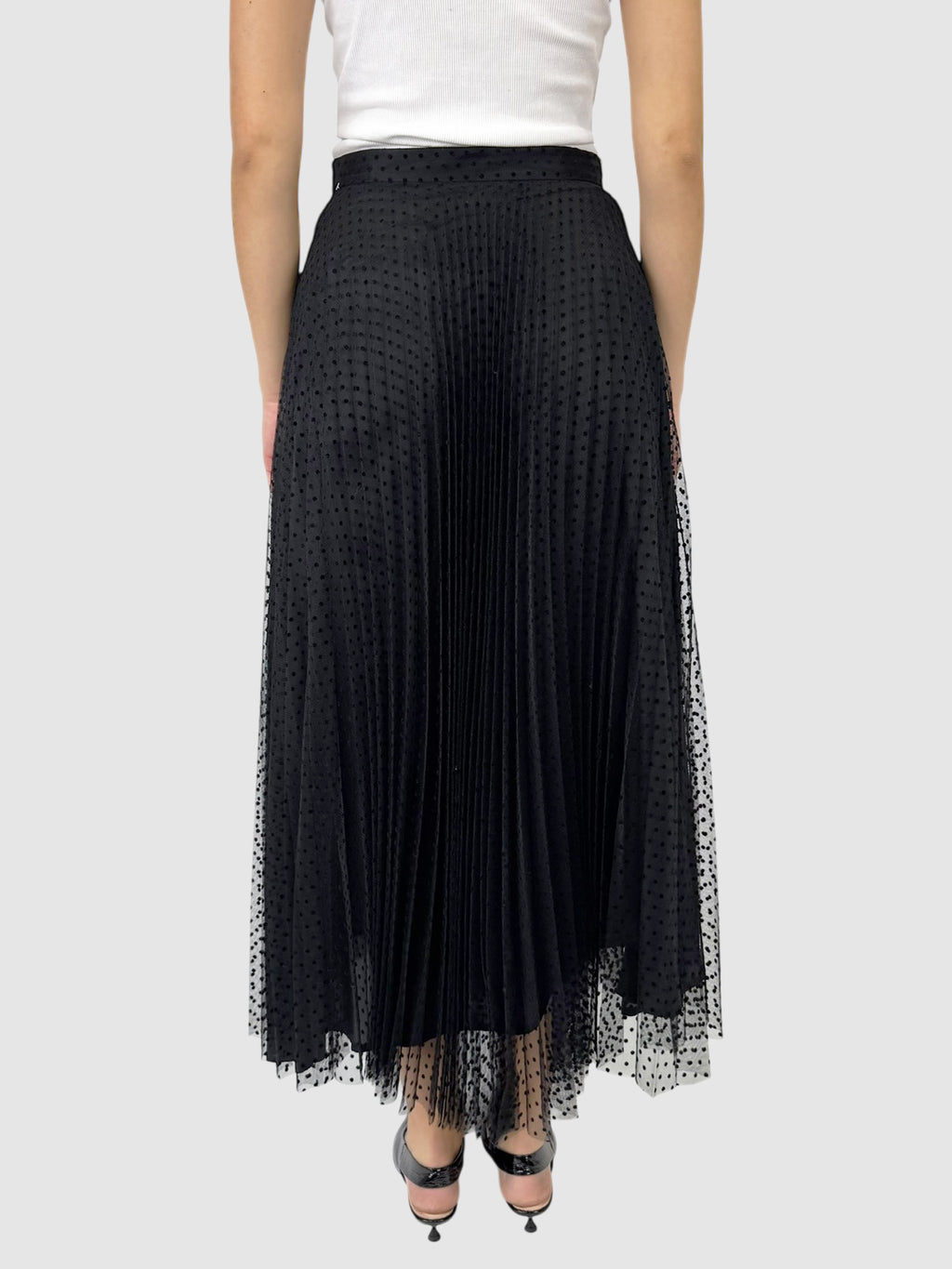 Mesh Pleated Skirt