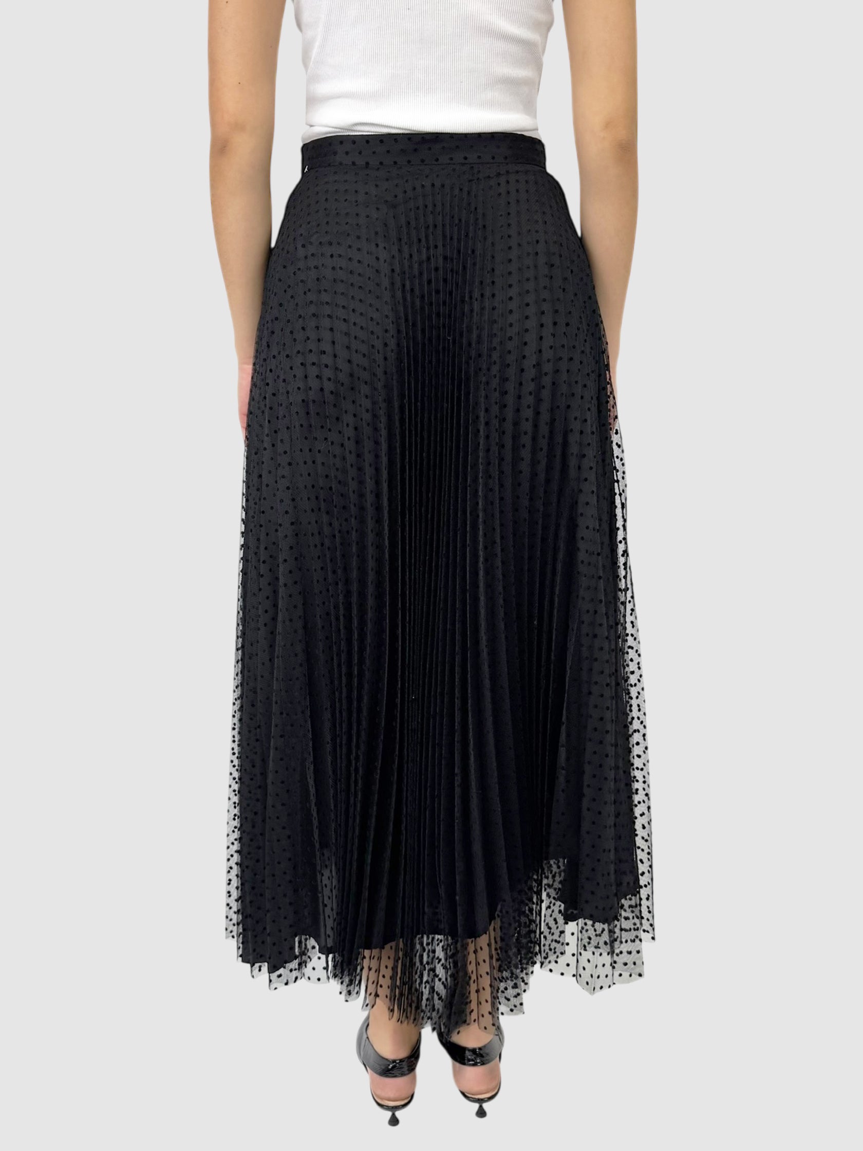 Mesh Pleated Skirt