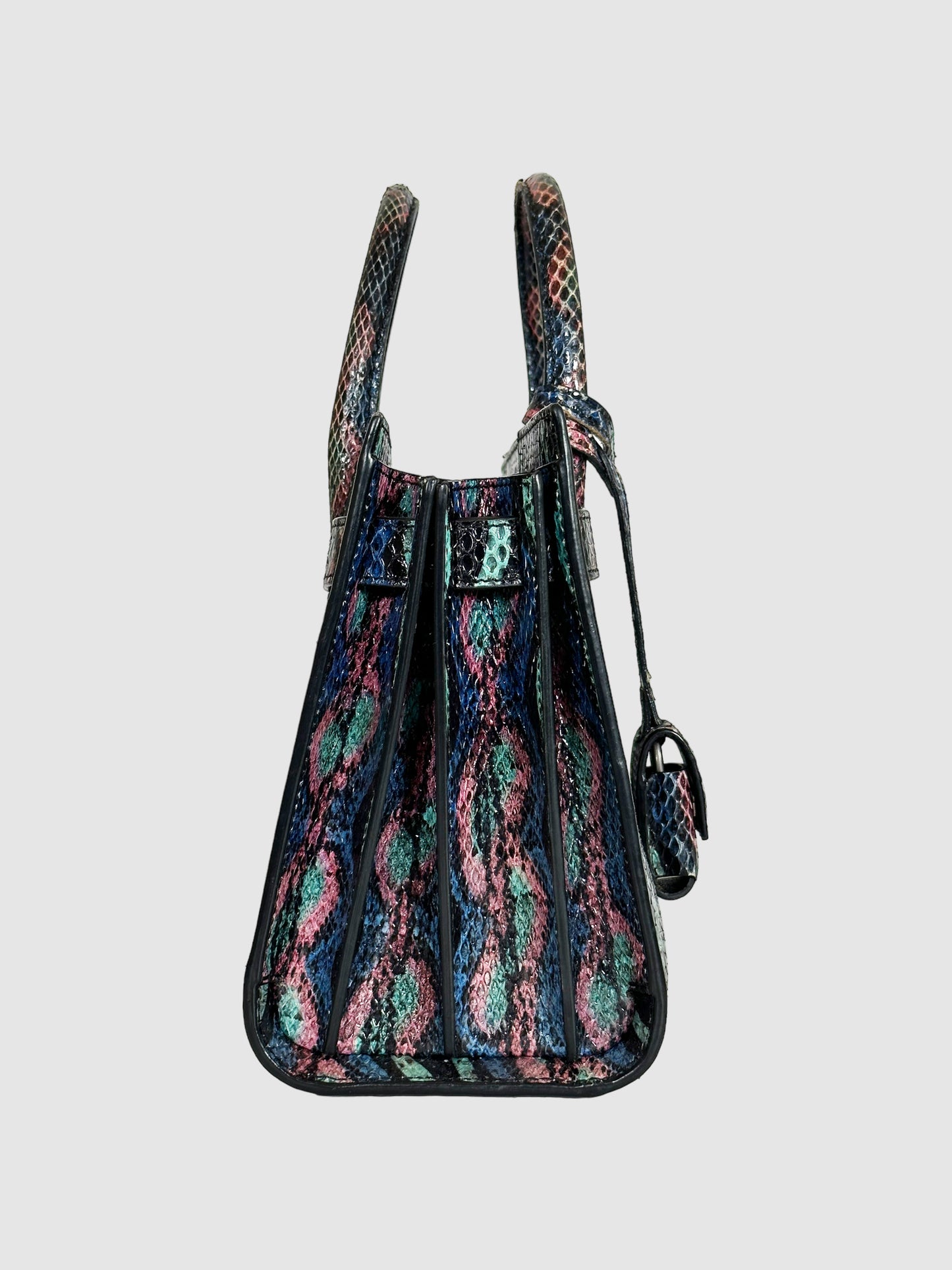 Sac de Jour Python Nano Bag