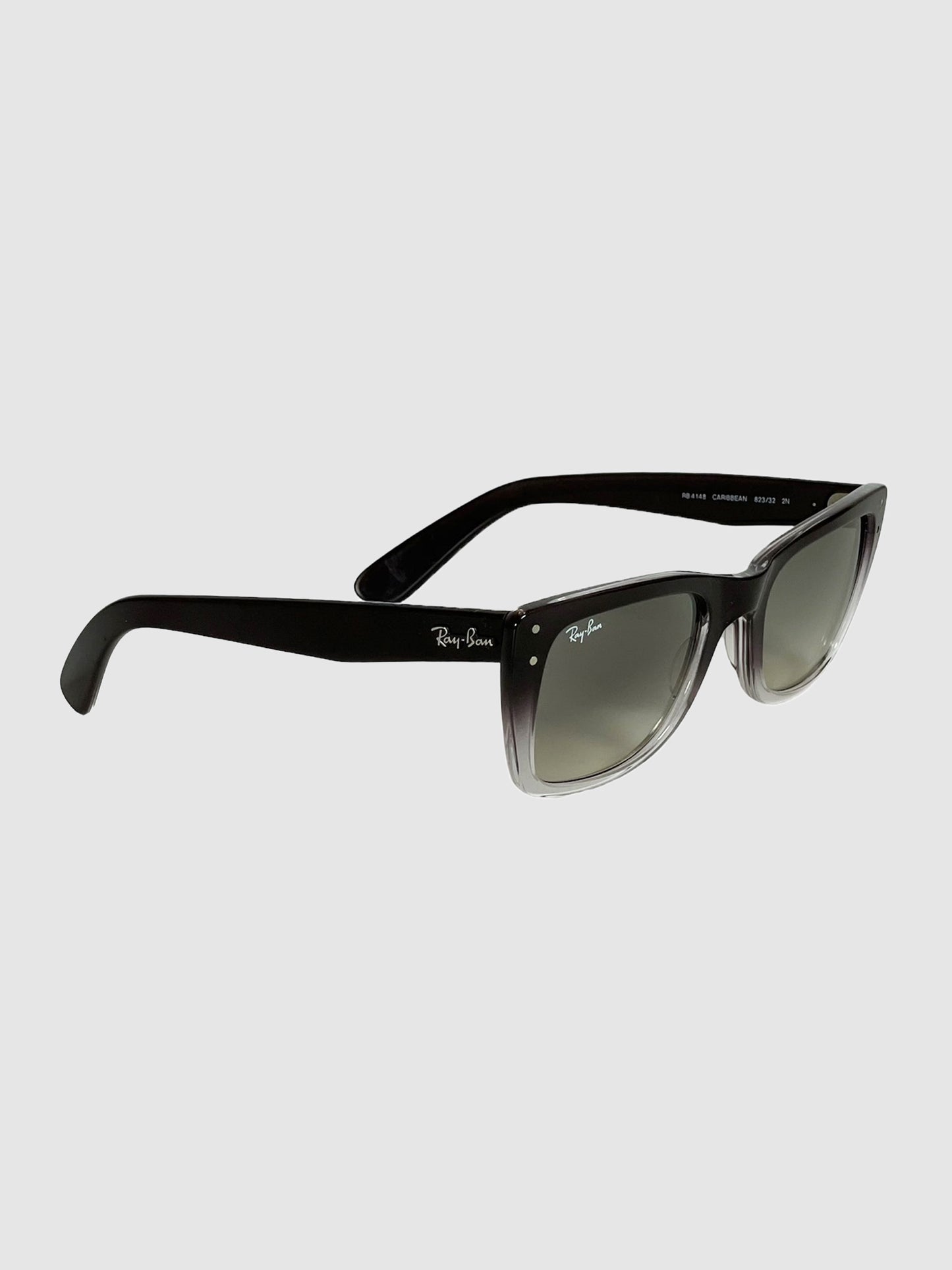 Wayfarer Sunglasses