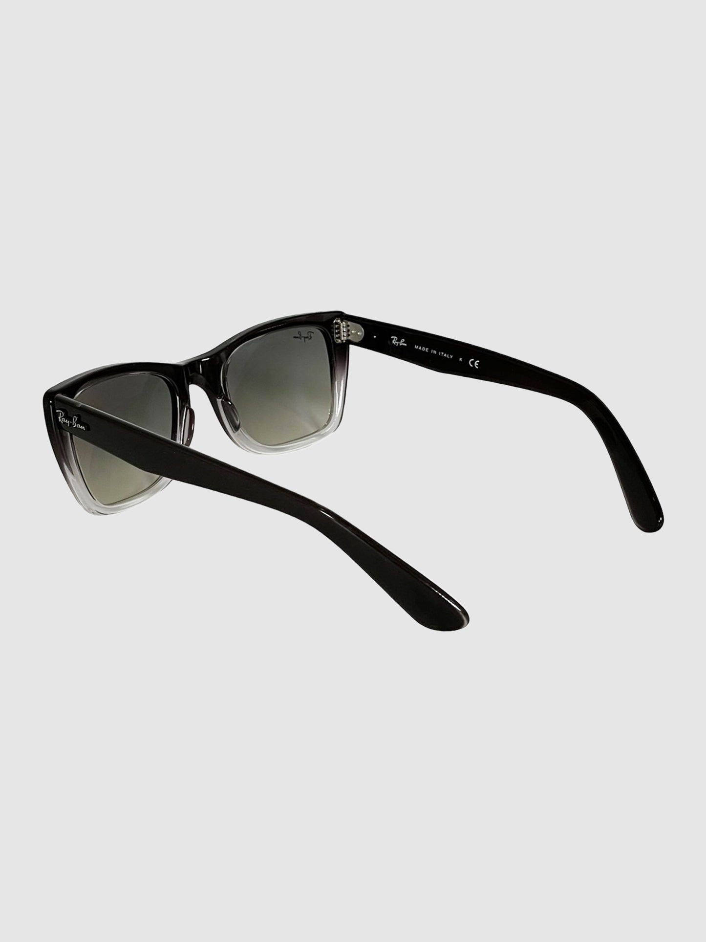 Wayfarer Sunglasses