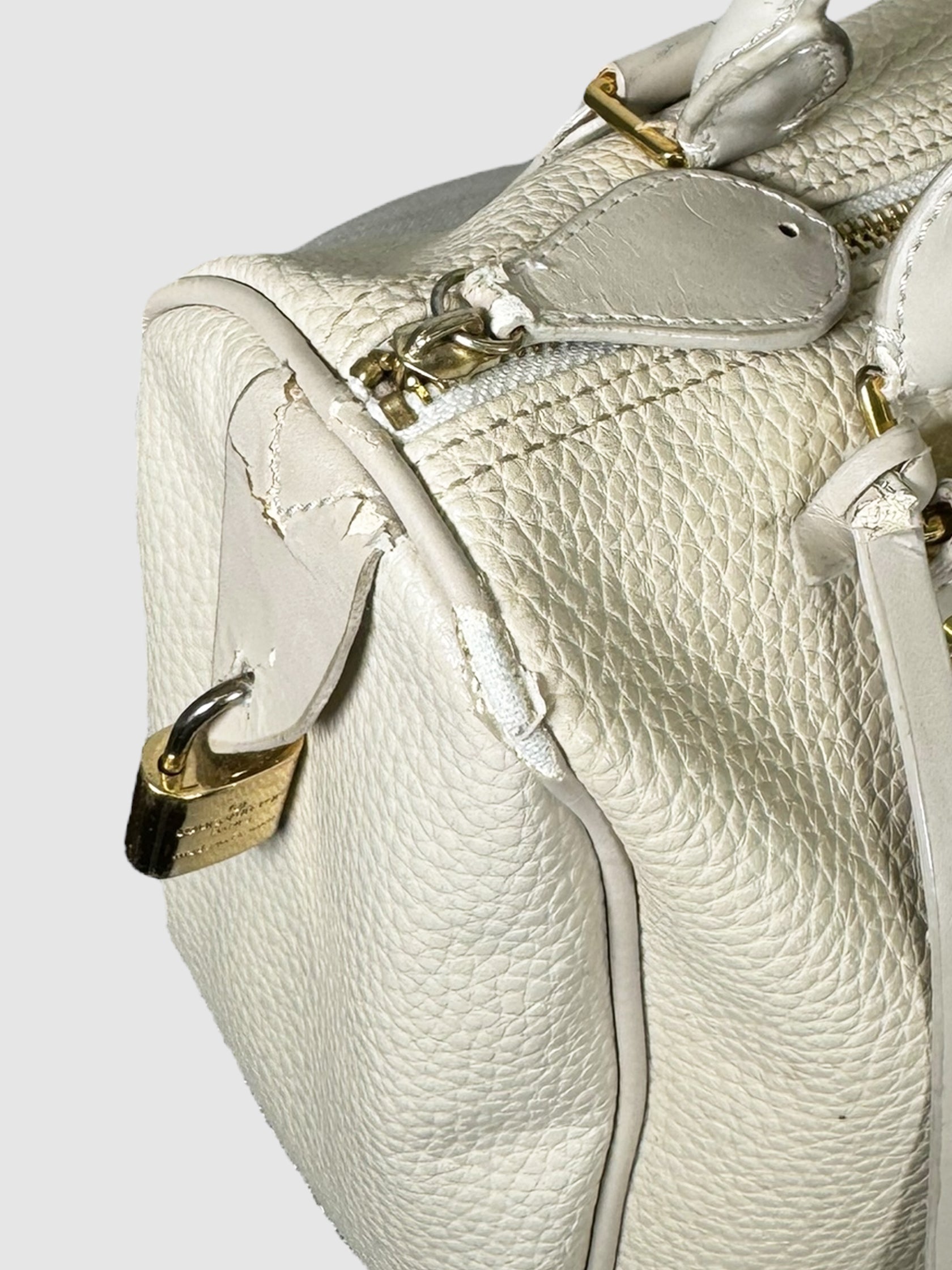 Speedy 25 Grained Leather