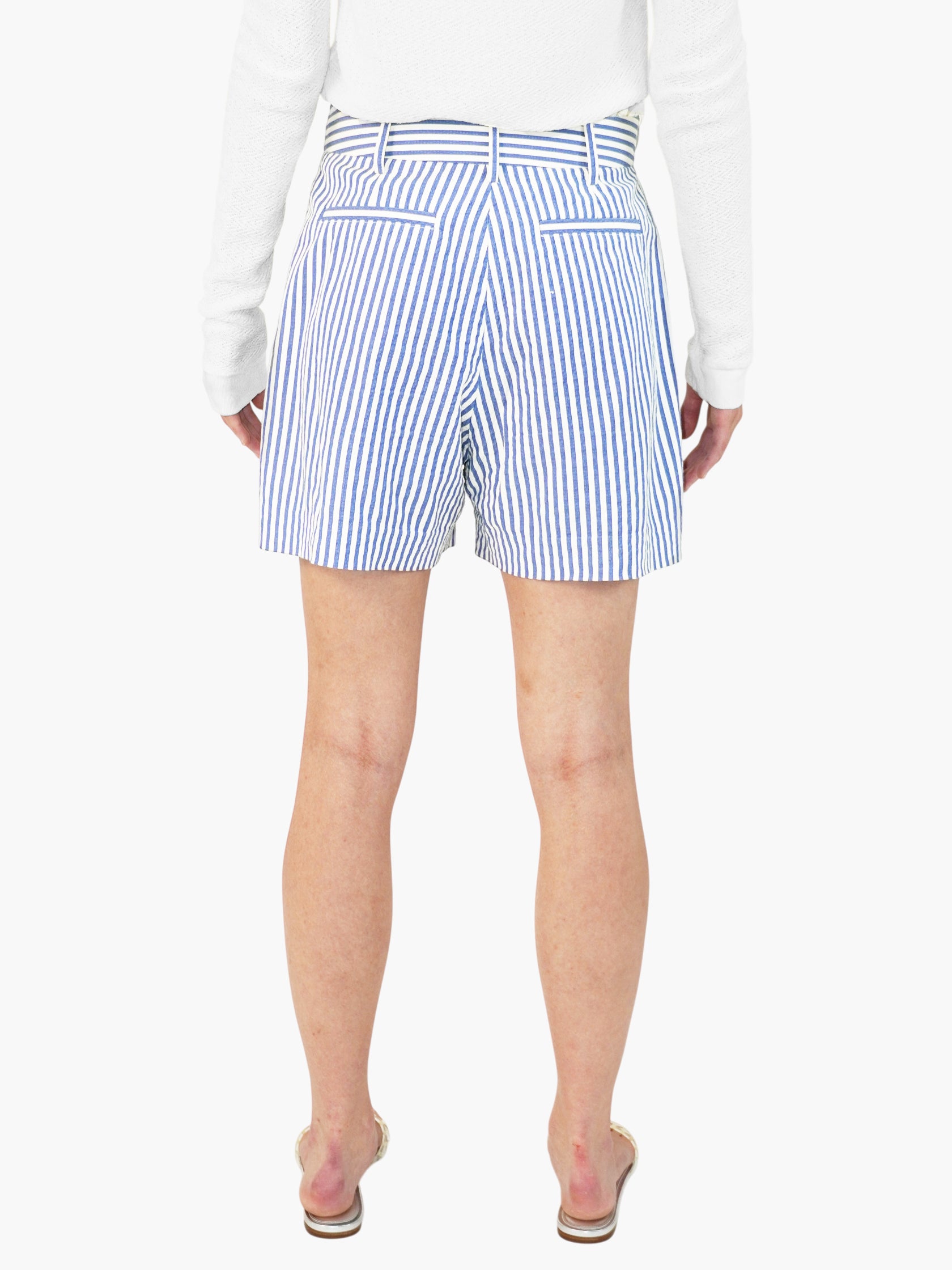 Striped Pleated Shorts