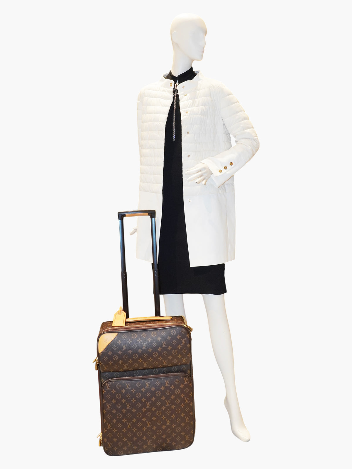 Pégase 55 Suitcase