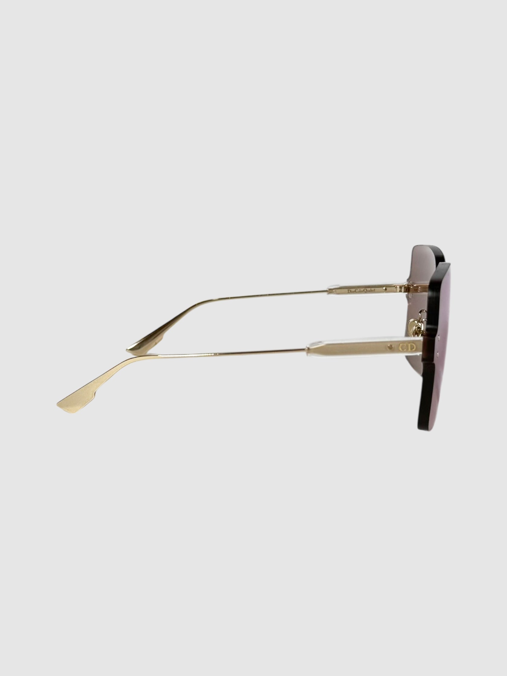 DiorColorQuake 1 Sunglasses