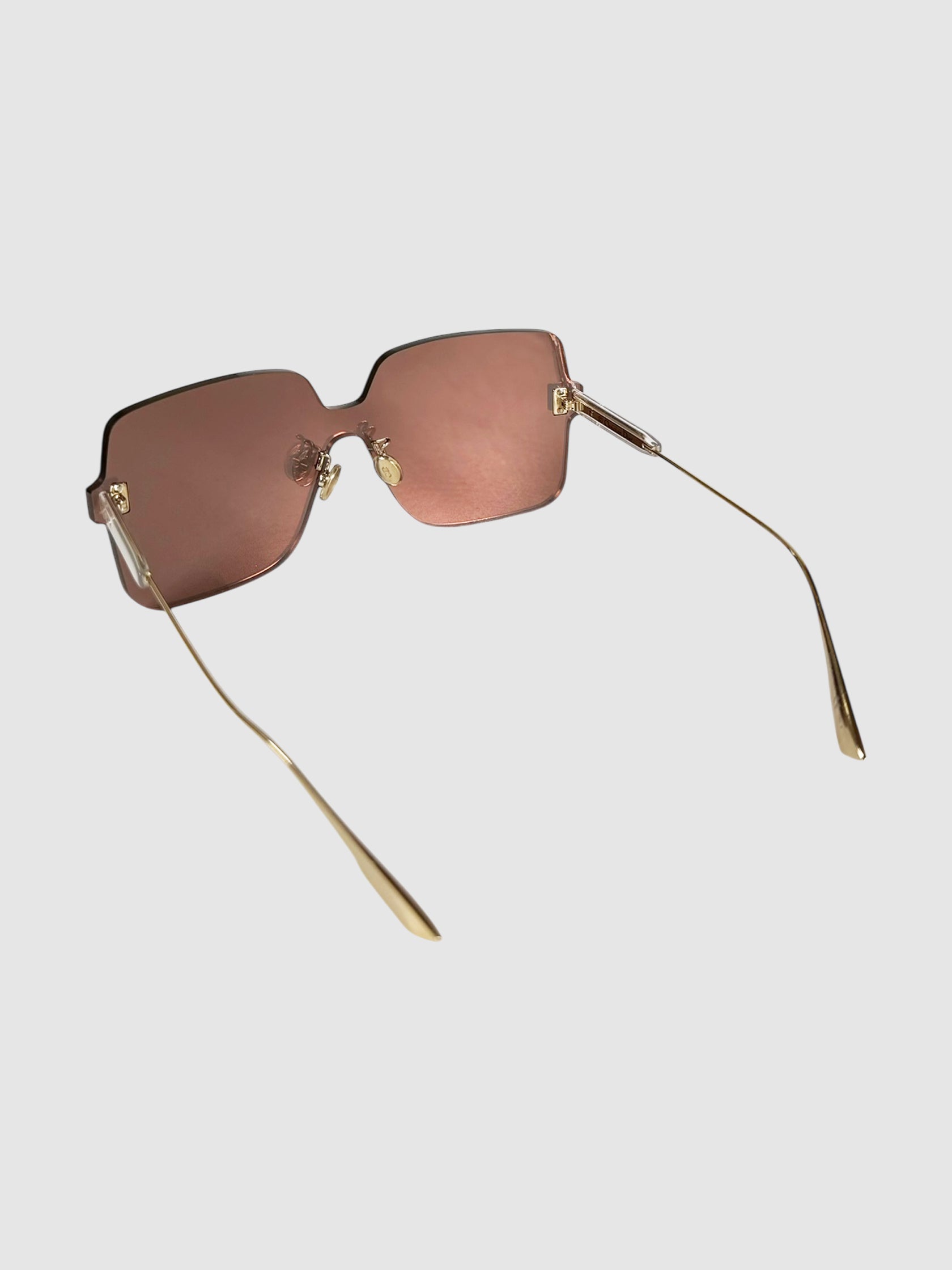 DiorColorQuake 1 Sunglasses