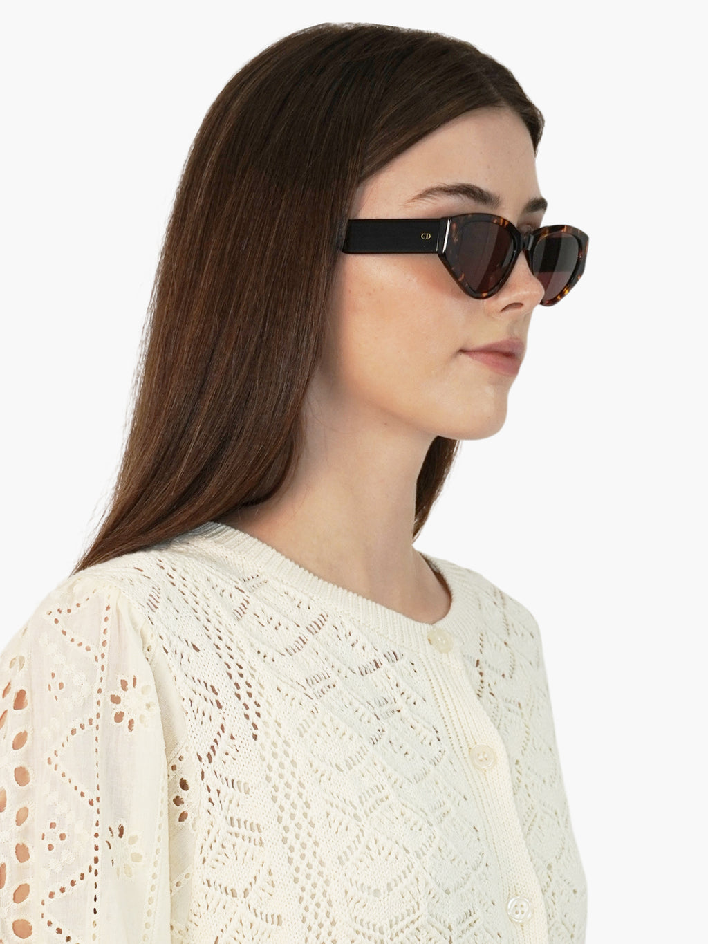 DiorSpirit2 Havana Sunglasses