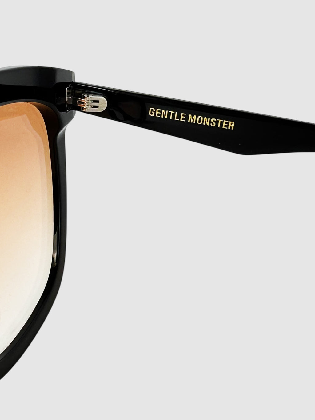 Lo Cell Oversized Sunglasses