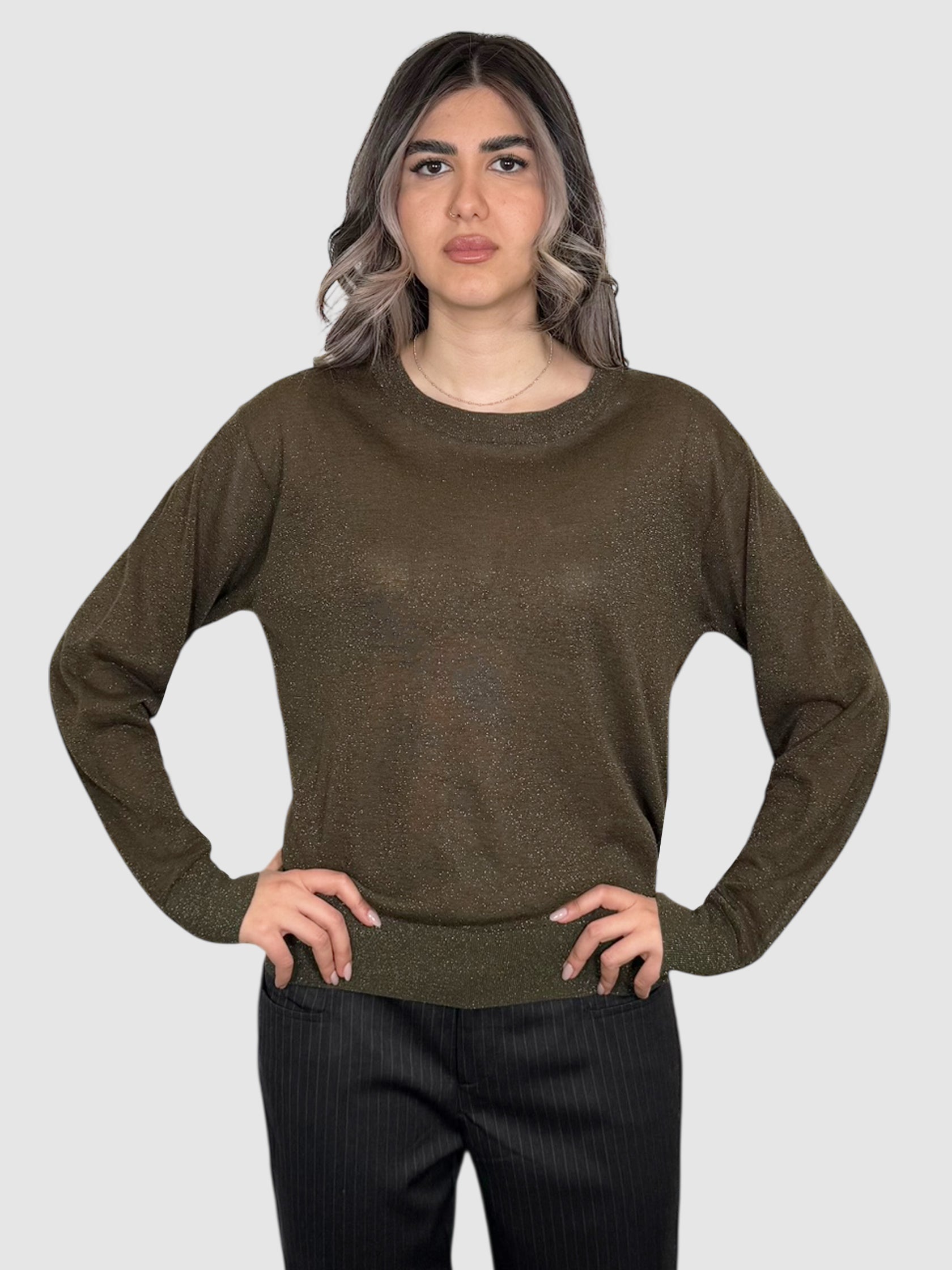 Shimmery Sheer Sweater