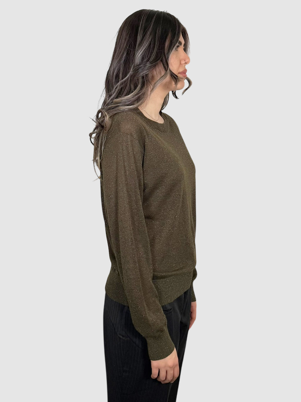 Shimmery Sheer Sweater