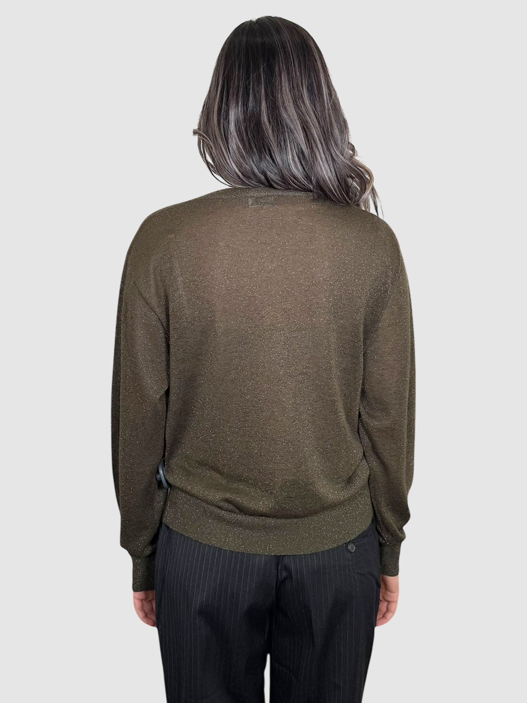 Shimmery Sheer Sweater