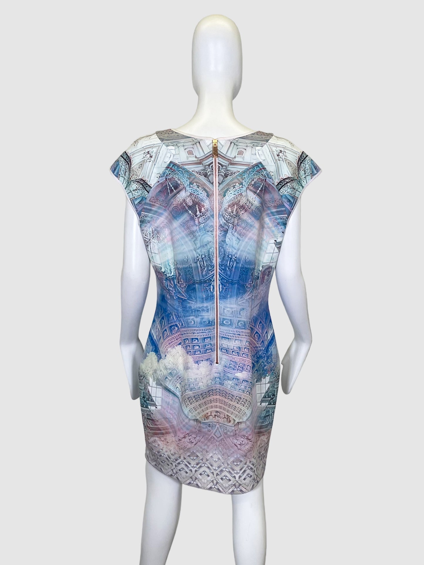 Ted Baker Printed Sleeveless Dress - Size 5(XL)