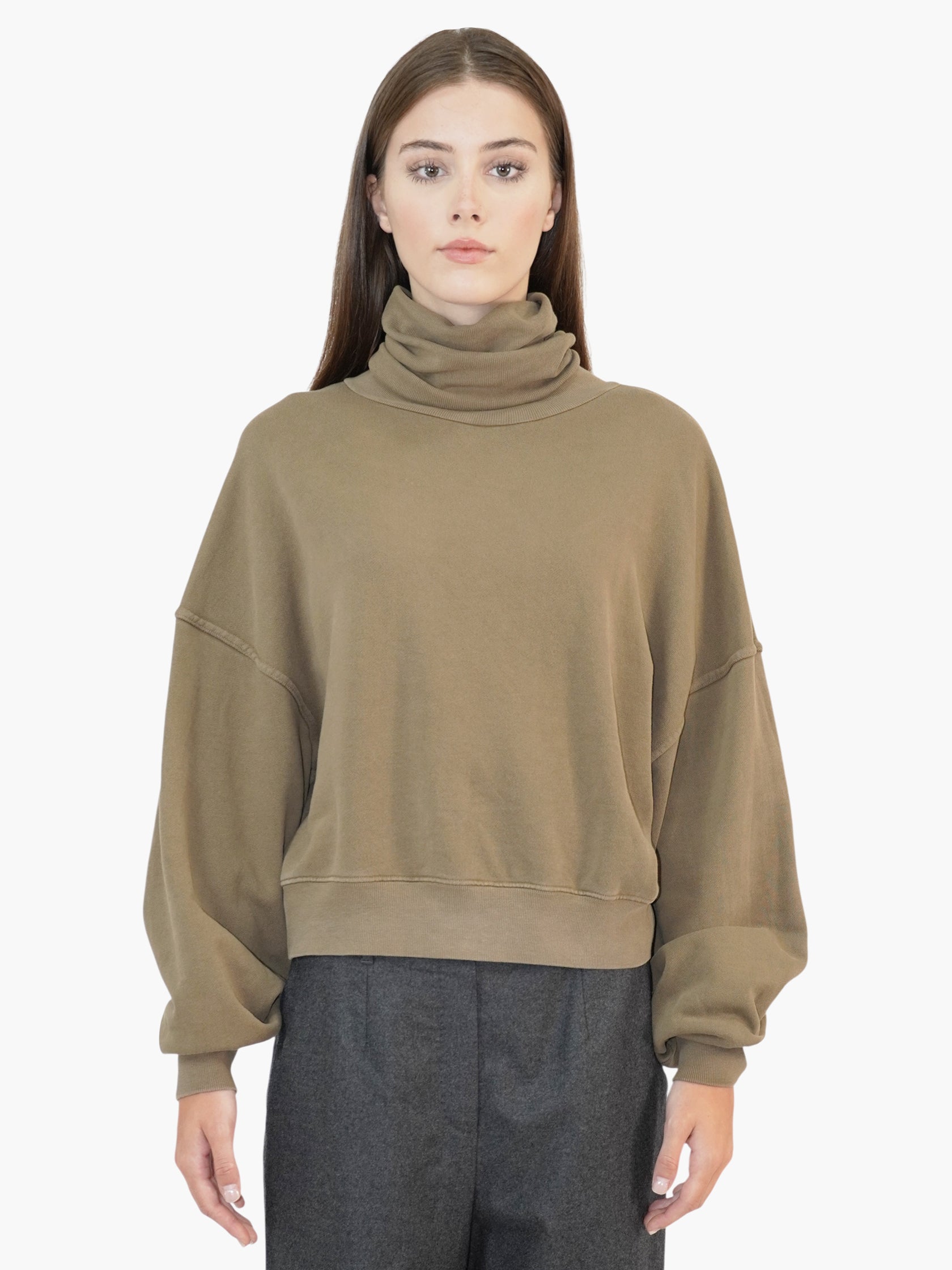 Balloon Sleeve Turtleneck Sweater