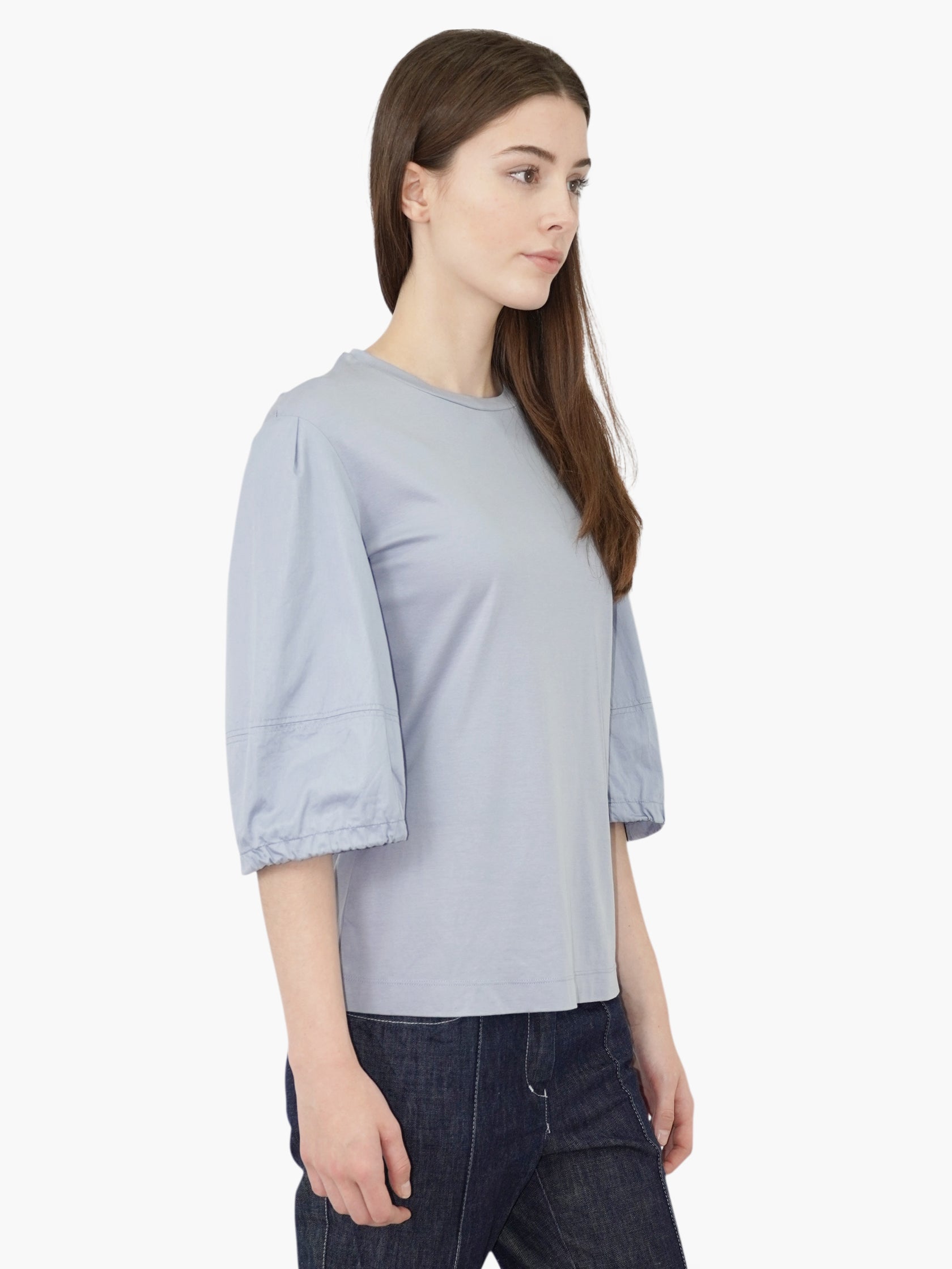 Balloon Sleeve Top