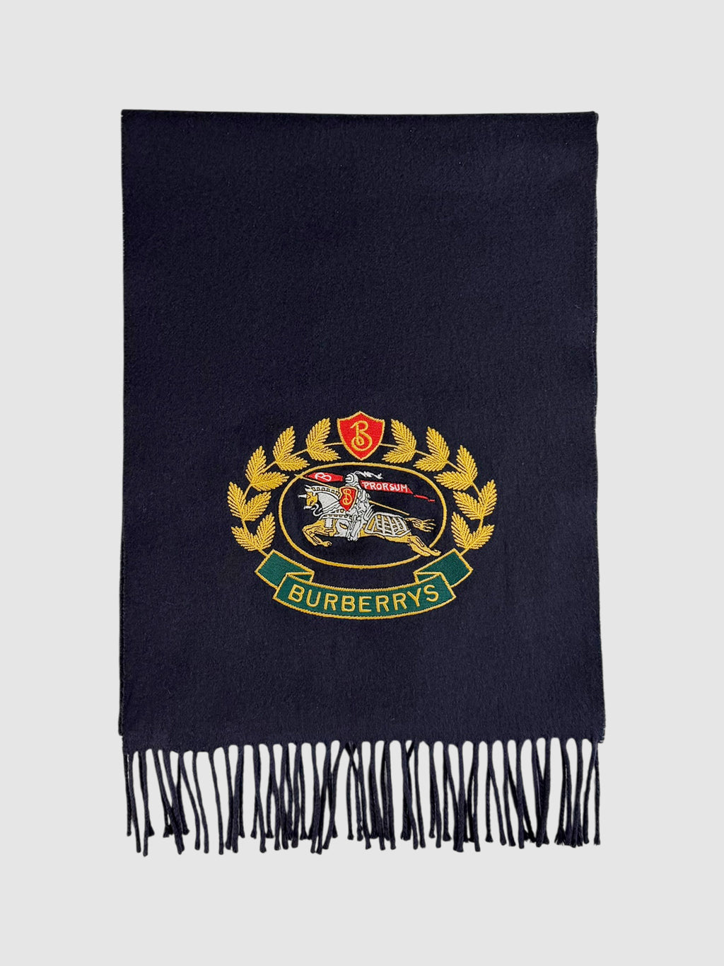 Cashmere Embroidered Scarf