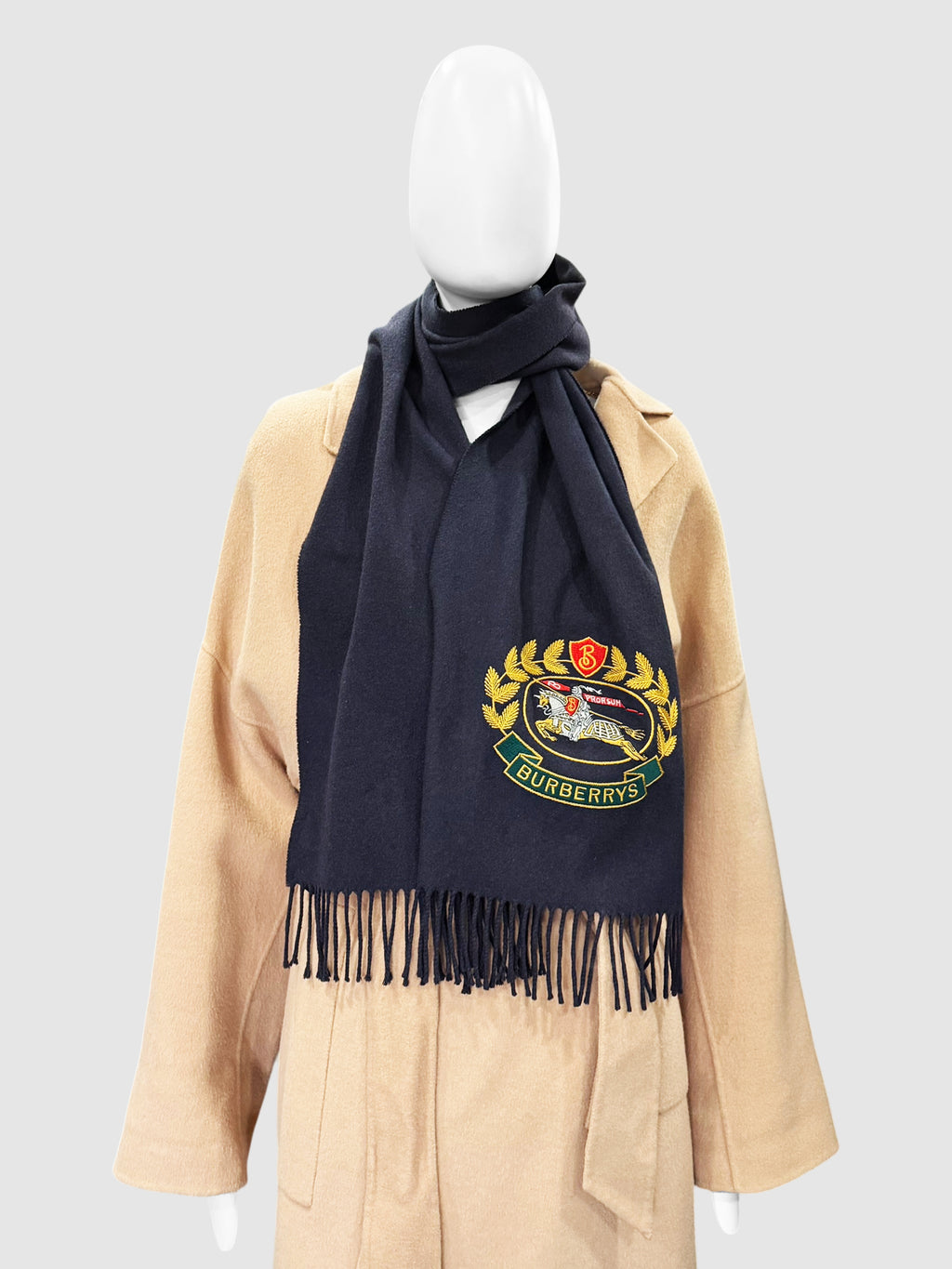 Cashmere Embroidered Scarf