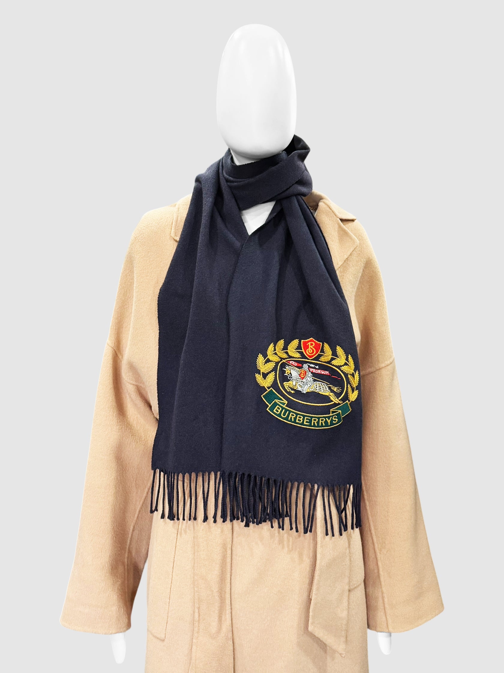 Cashmere Embroidered Scarf