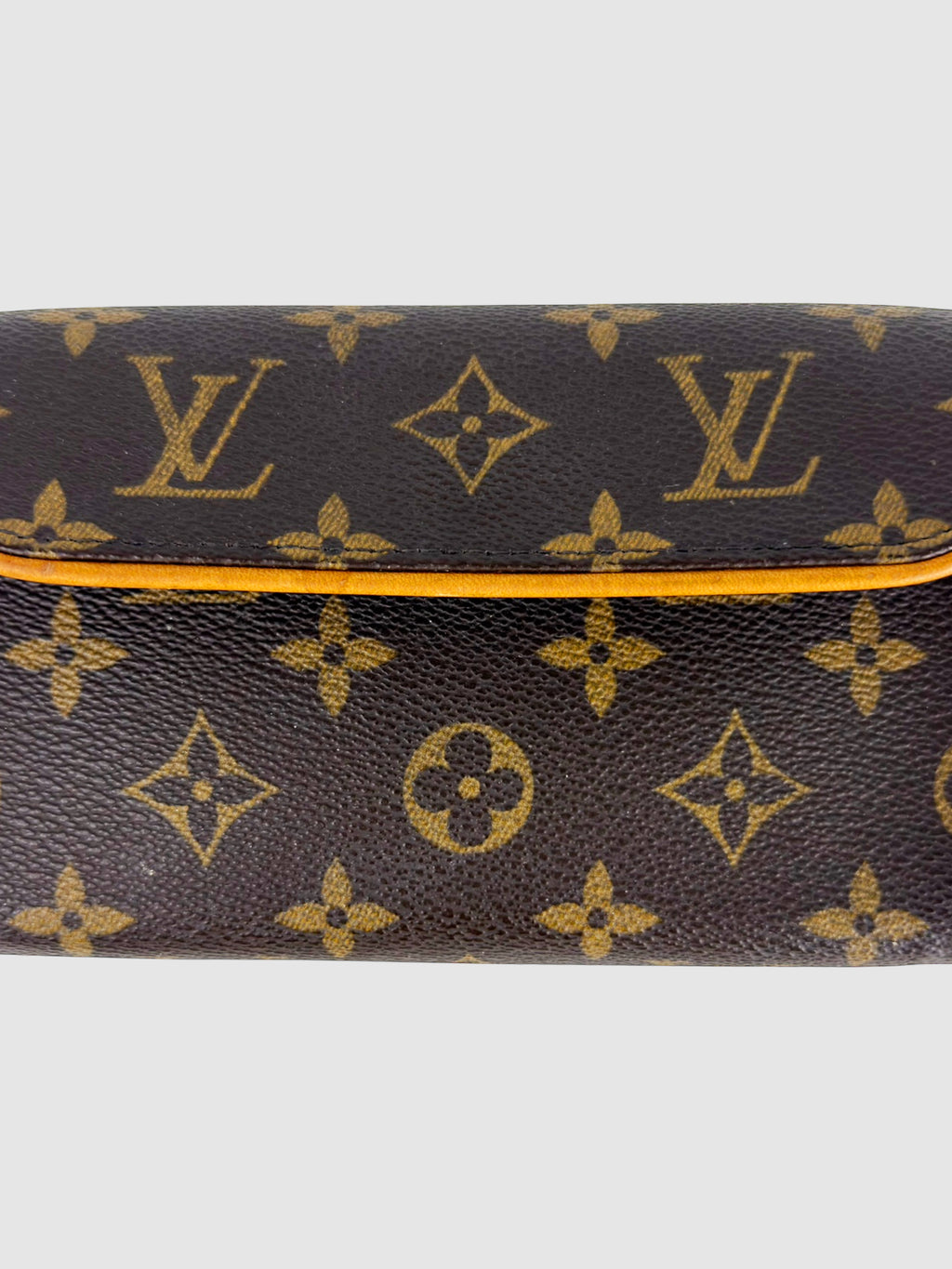 Florentine Belt Bag