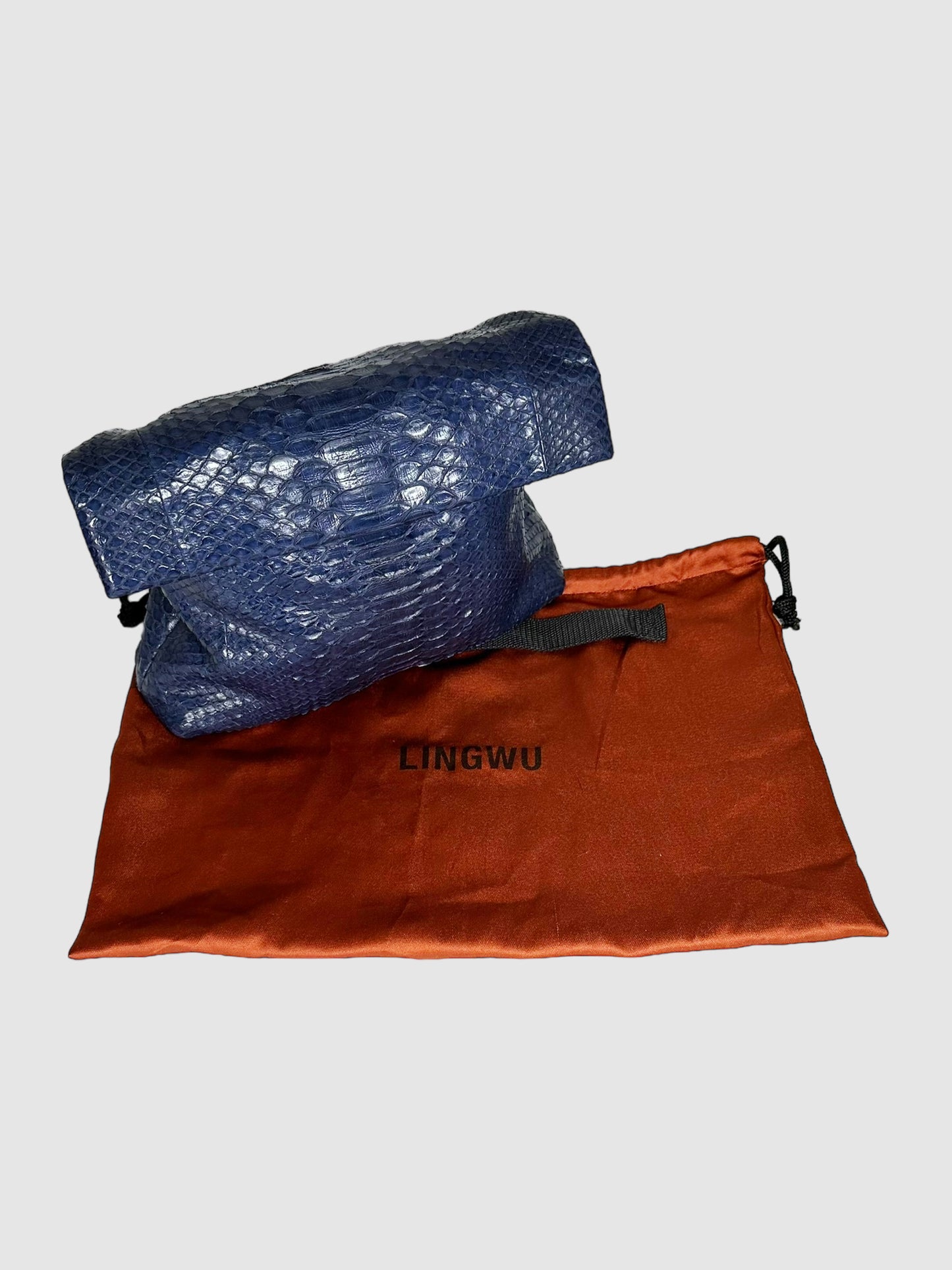 Python Foldover Clutch