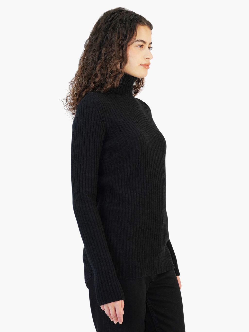 Wool Turtleneck Sweater