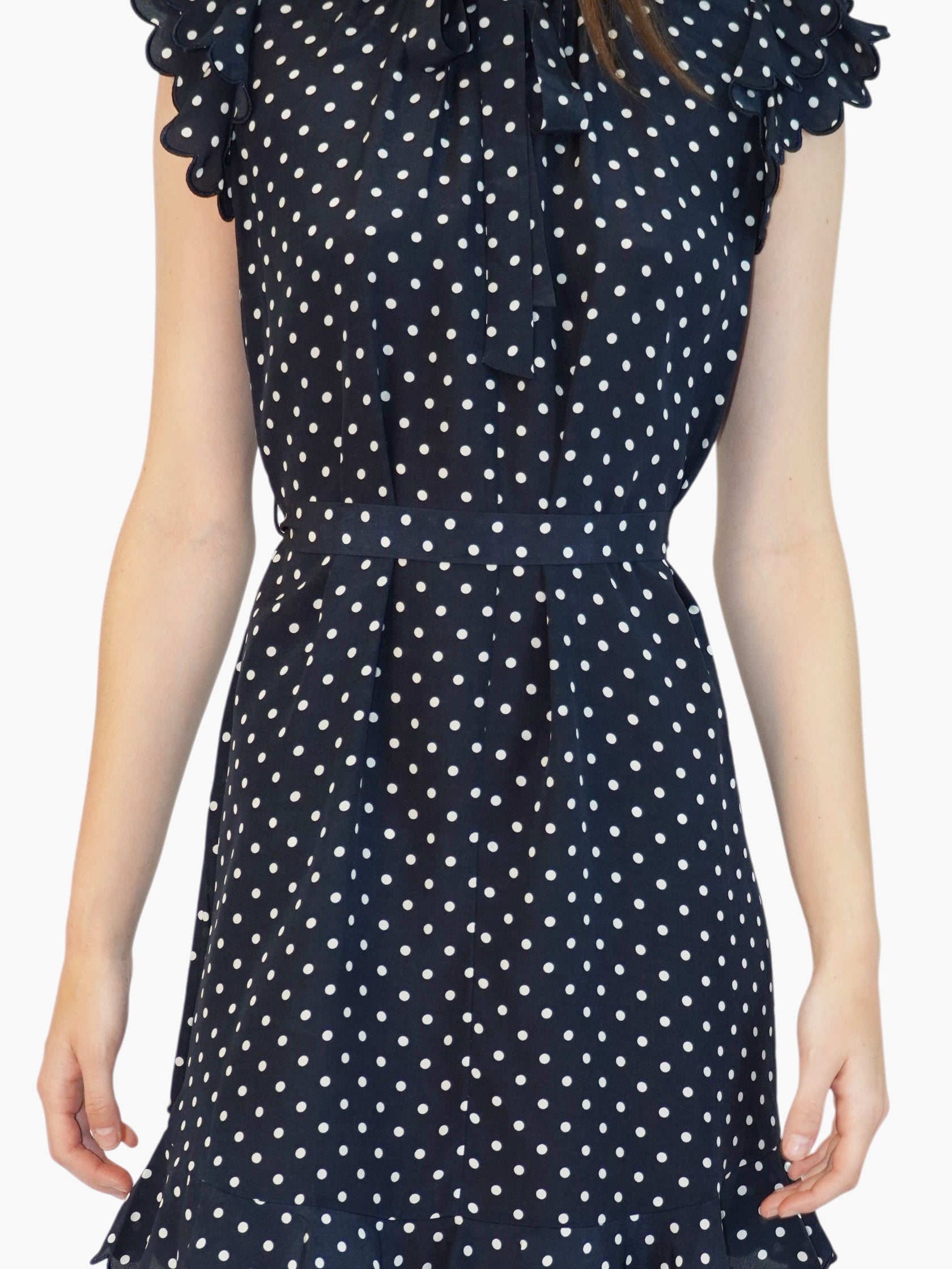 Silk Dotted Dress