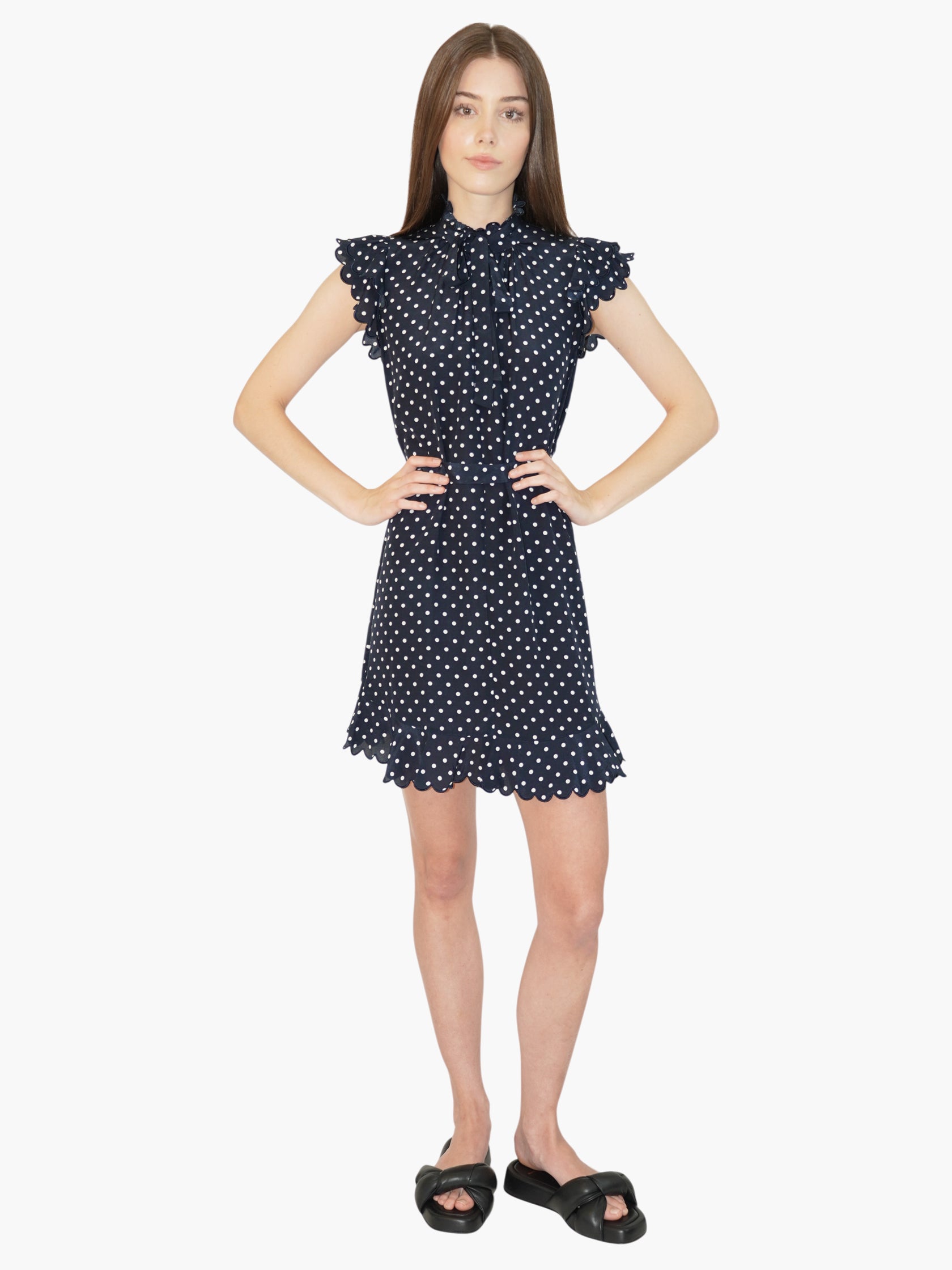 Silk Dotted Dress