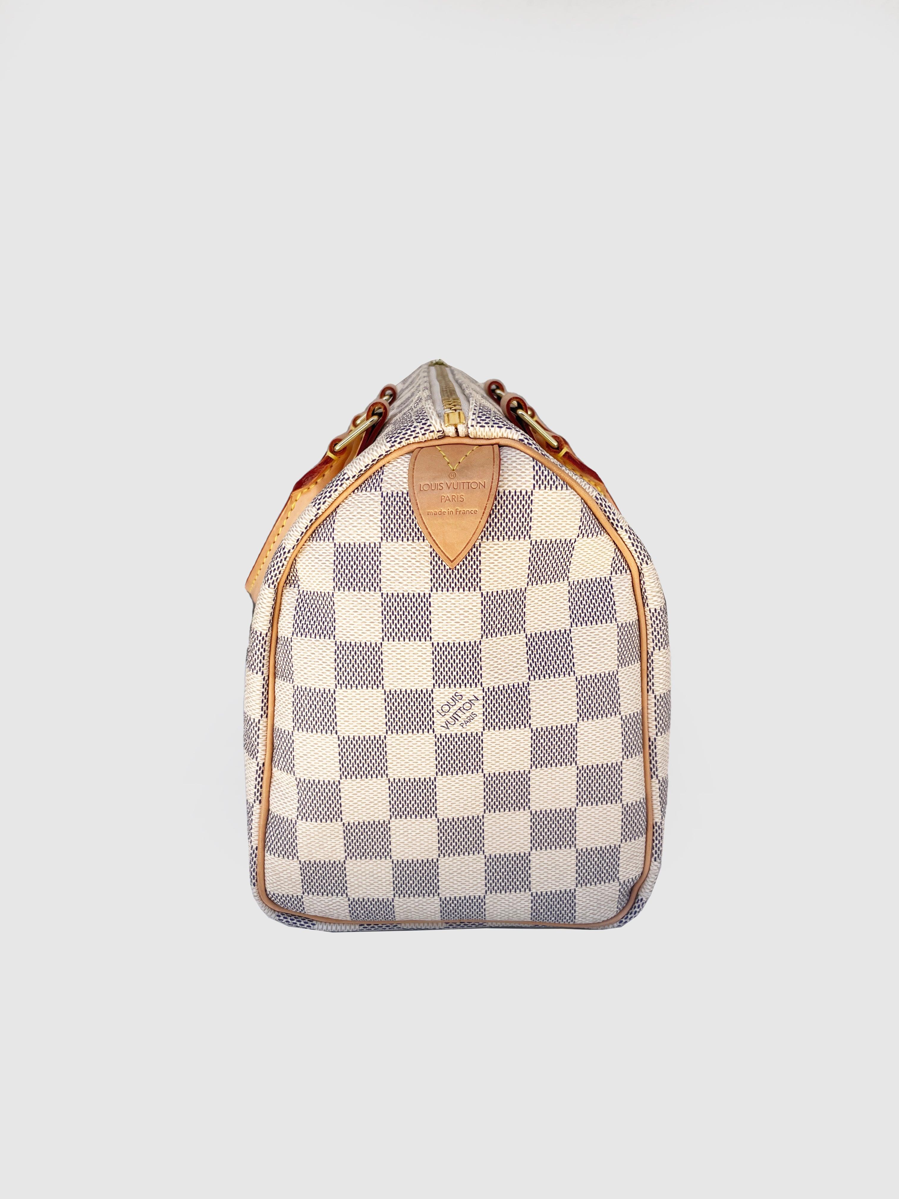 Louis Vuitton "Speedy 25" - Second Nature Boutique