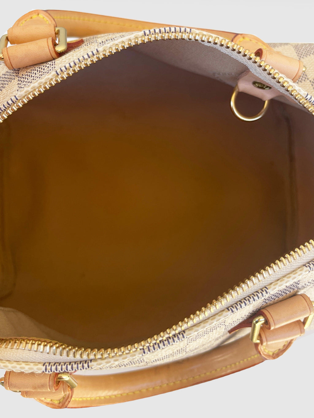 Louis Vuitton "Speedy 25" - Second Nature Boutique