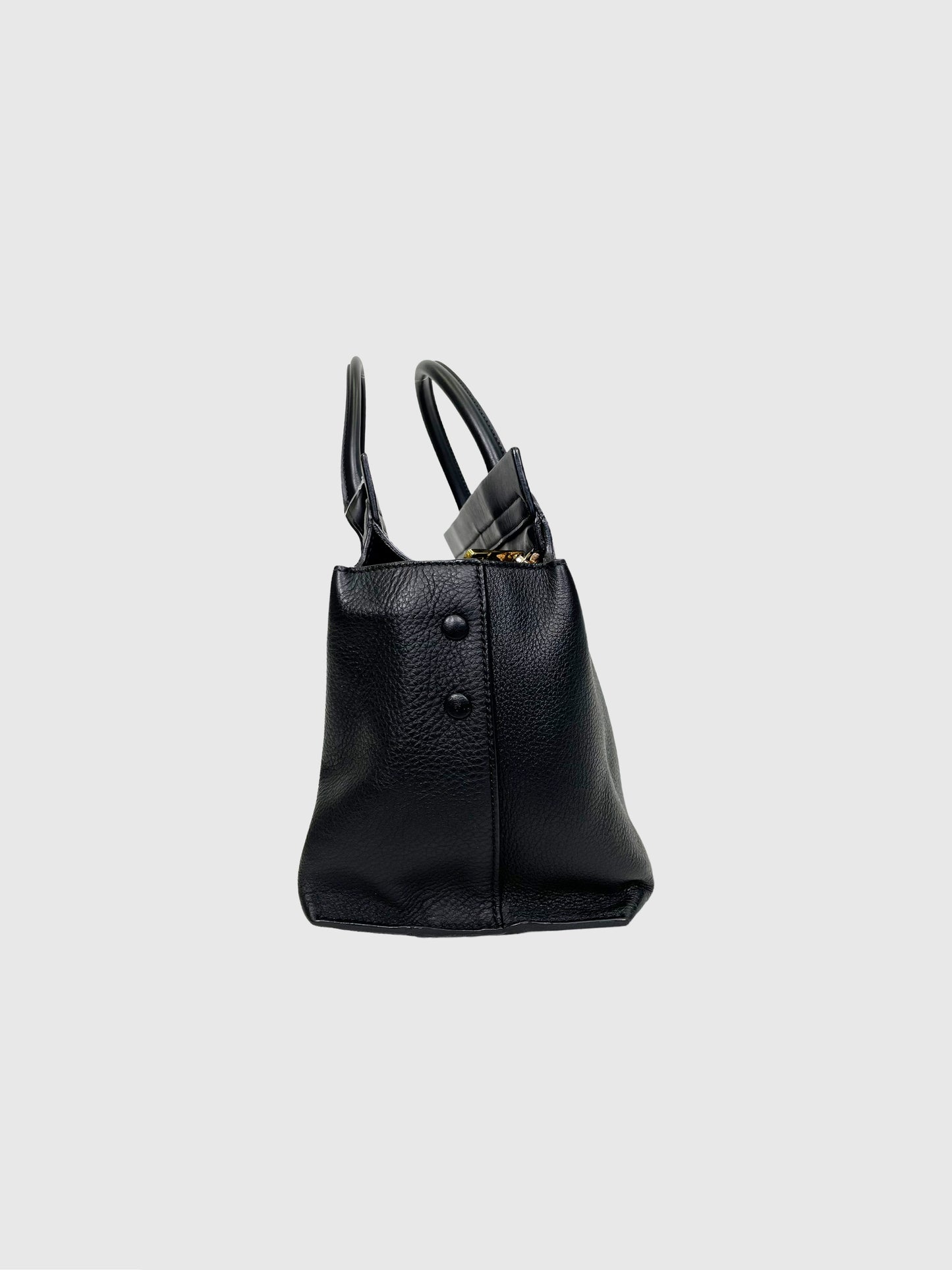 Chloe Cate Small Zipper Tote Bag