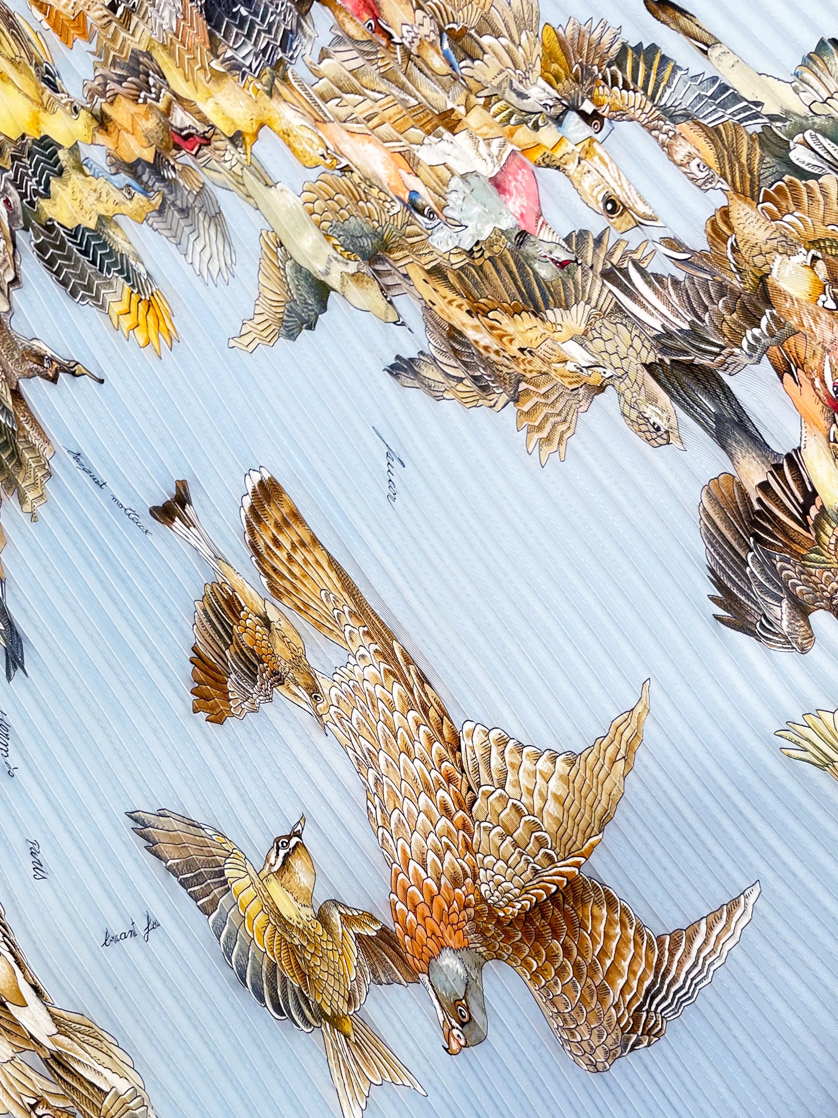 L'Intrus Plissé Scarf