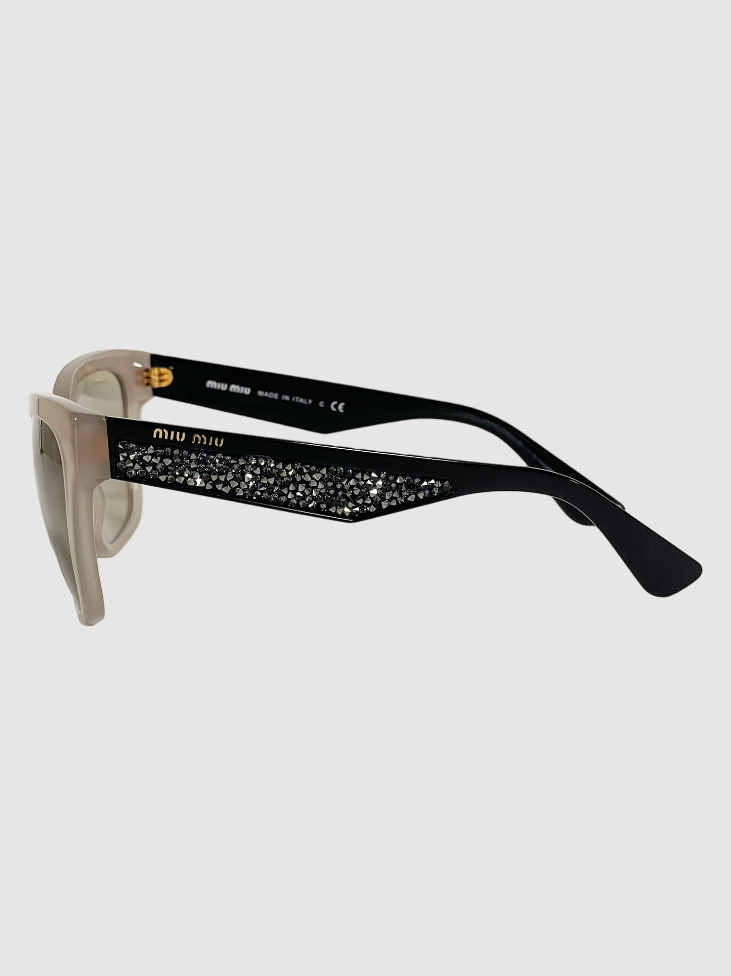 Cat Eye Tinted Sunglasses