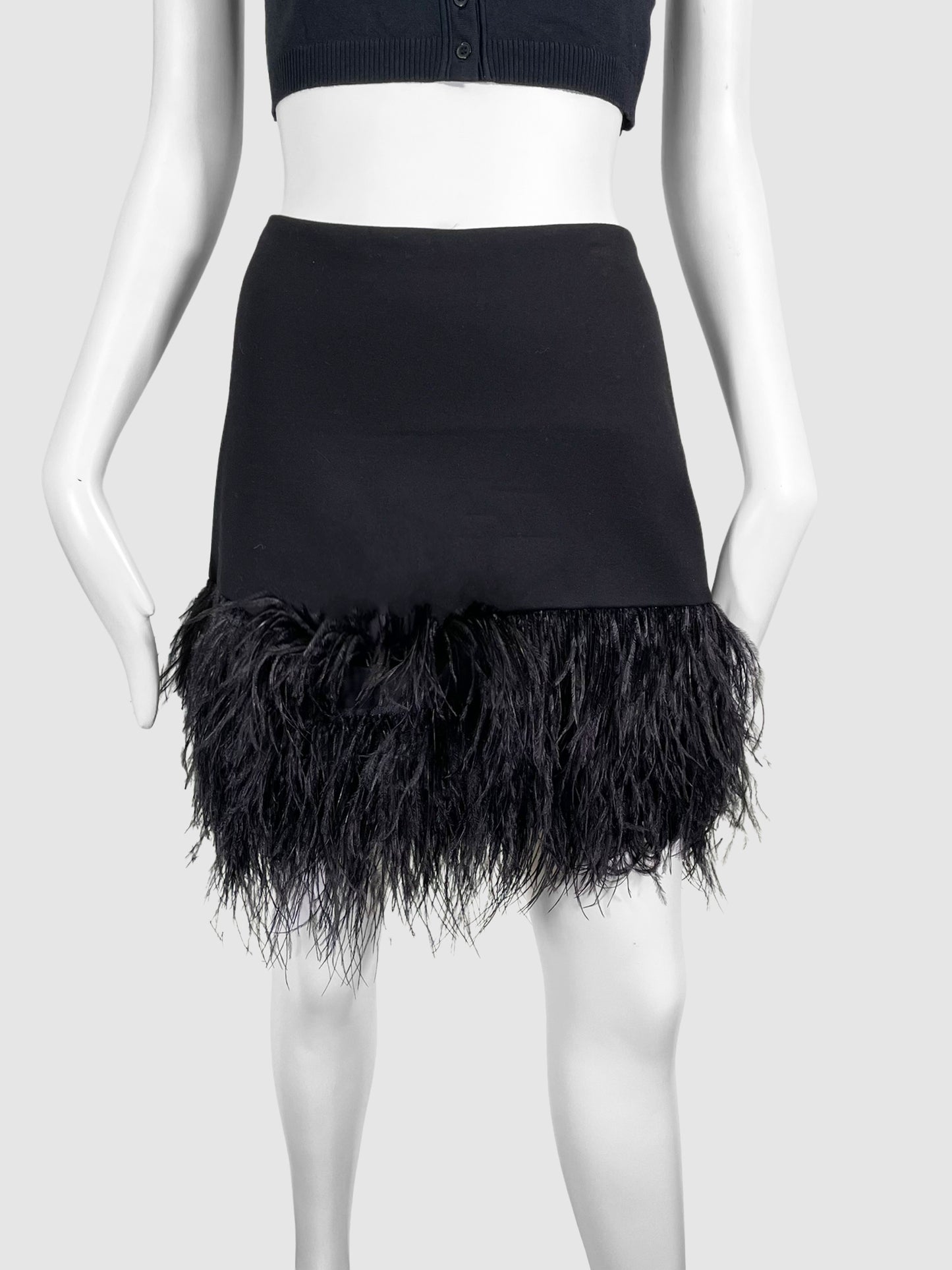 Polo Ralph Lauren Mini Skirt with Feather Trimming - Size 6