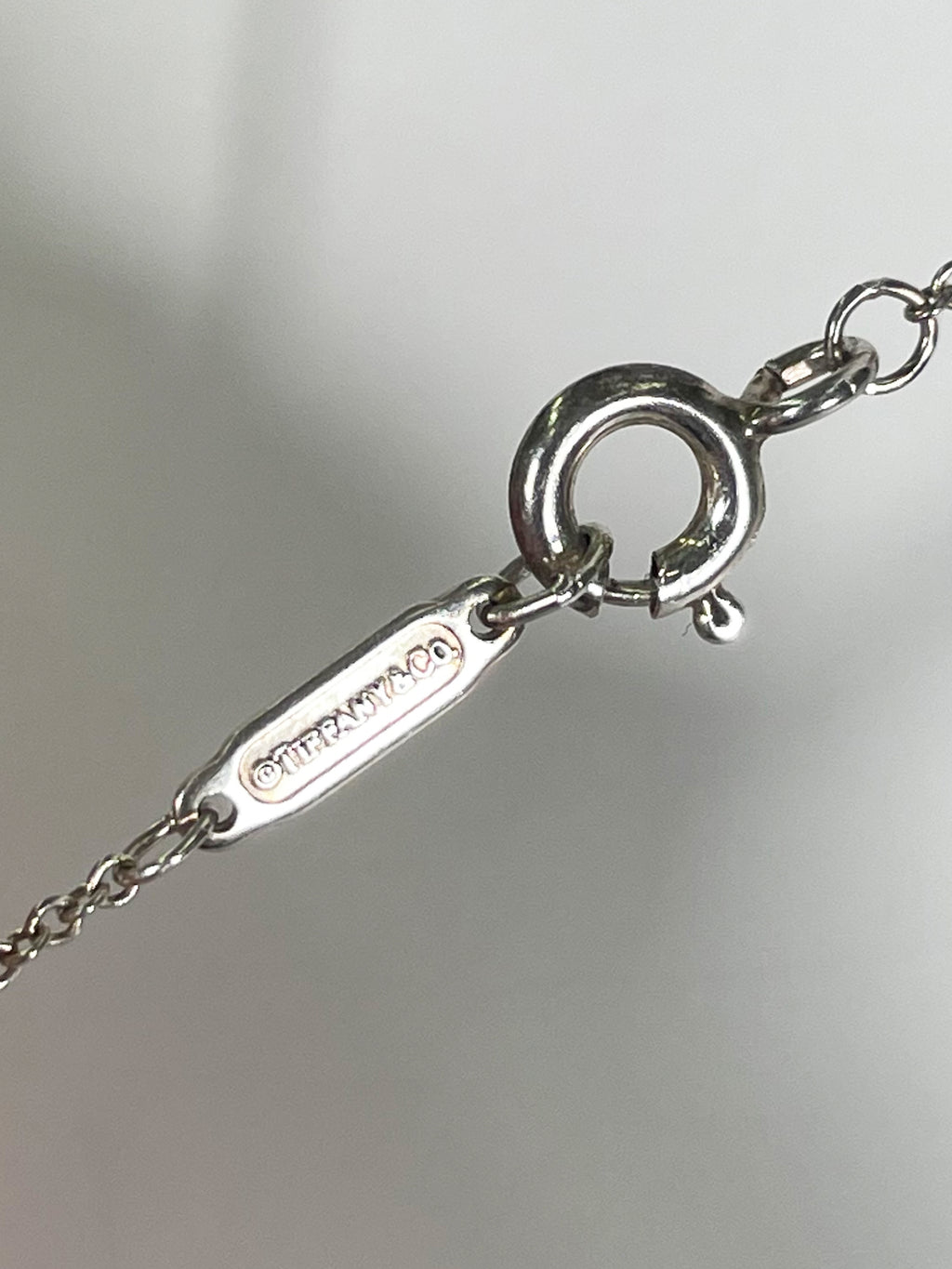 Double Heart Tag Pendant Necklace